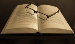 脳梁と知性：脳梁のどこが大事なのか？