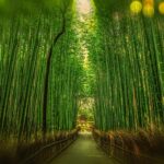 ボンヤリした人は正中を見る？健常人の視線の偏りと注意力の関係