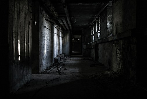 「恐怖、恐怖症、心構え：恐怖と恐怖学習のモジュール発達へ向けて」