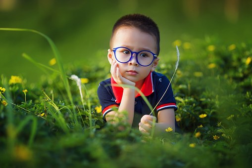 学習能力と頭の良さの違いとは何か？