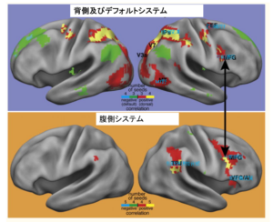 目移りする能力・集中する能力