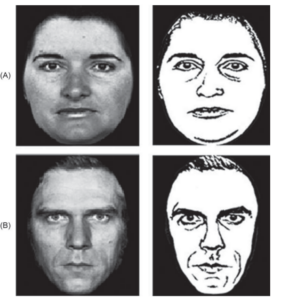視覚処理メカニズム、自閉症スペクトラム障害、表情の読み取り