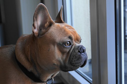 内的注意と外的注意では頭頂葉の活動は異なるのか？