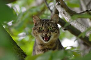 なぜ驚きは認知を高めるのか？
