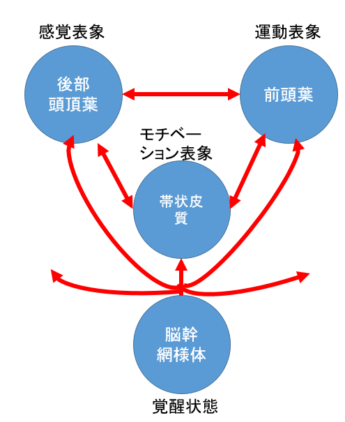 マルチネットワークの機能不全としての半側空間無視