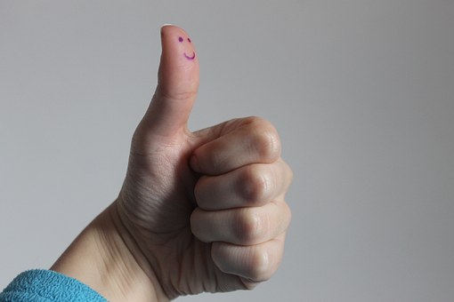 他動詞ジェスチャーと自動詞ジェスチャーで脳活動が違う？