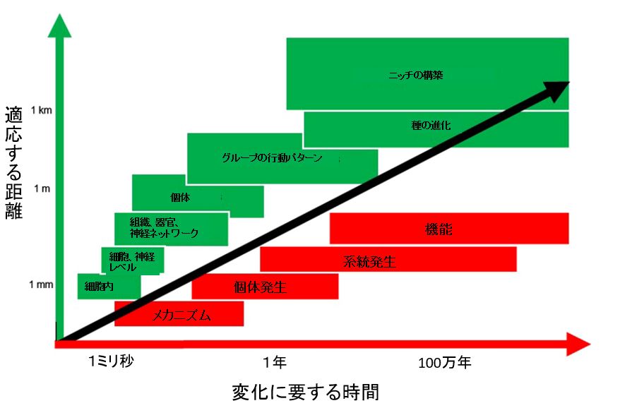 行動、学習、発達、進化をつなぐ自由エネルギー原理とは?
