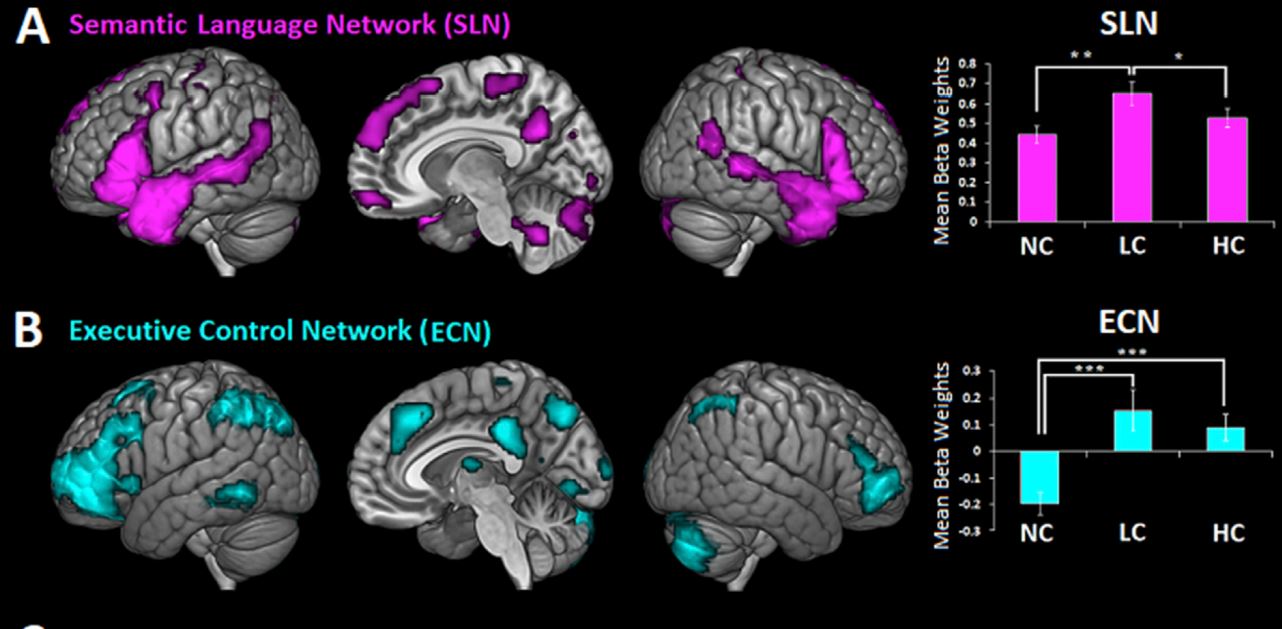 ナラティブ・ブレイン　なぜあなたの脳は物語を理解できるのか？