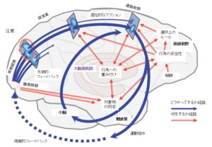 バーチャルリアリティを介した失調症状への介入：「mediVR神楽」の介入効果に関する考察②