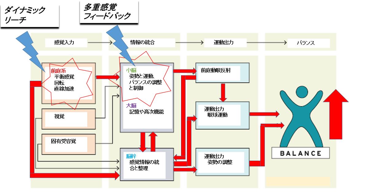 バーチャルリアリティを介した失調症状への介入:「mediVR神楽」の介入効果に関する考察③