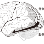 バーチャルリアリティを介した脳卒中上肢機能への介入：「mediVR神楽」の介入効果に関する考察④