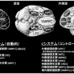 社会認知神経科学：その中核的プロセス　１