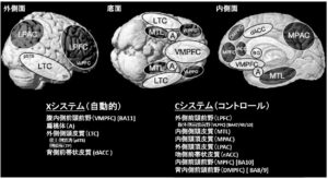 社会認知神経科学：その中核的プロセス　１