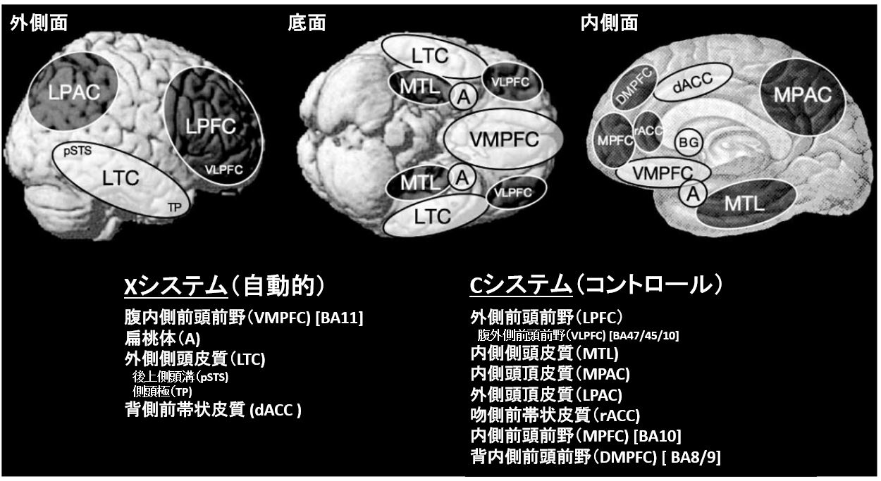 社会認知神経科学：その中核的プロセス　１