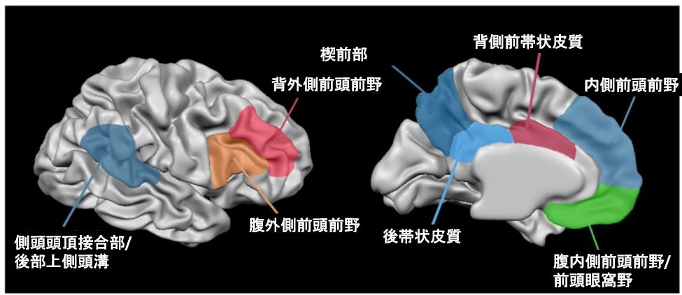 赦すことの脳科学:人を許すとはどのようなことなのか?