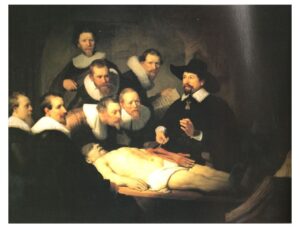 アップデートし続ける脳：予測誤差とシナプス可塑性が紡ぐ学習の物語