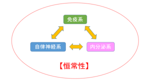 【ホメオスタシスから考える無理の仕方：心と体の関係から考える】