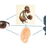 つながりの脳科学：総合力としての脳