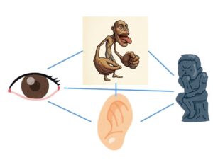 つながりの脳科学：総合力としての脳