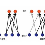 縮退性のある組織はなぜ発展できるのか？