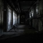 「恐怖、恐怖症、心構え：恐怖と恐怖学習のモジュール発達へ向けて」