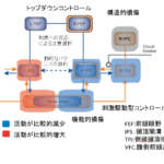 半側空間無視では視覚処理のどの段階が問題なのか?