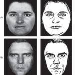 視覚処理メカニズム、自閉症スペクトラム障害、表情の読み取り