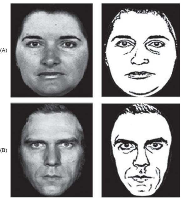 視覚処理メカニズム、自閉症スペクトラム障害、表情の読み取り