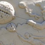 視覚認知において前頭前野は何をしているのか?