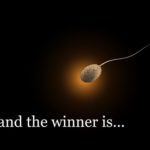 女性の排卵は男性ホルモンの放出を高めるか？