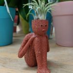 【後編】自分を自分と感じる脳　自由意志の脳科学研究15本！