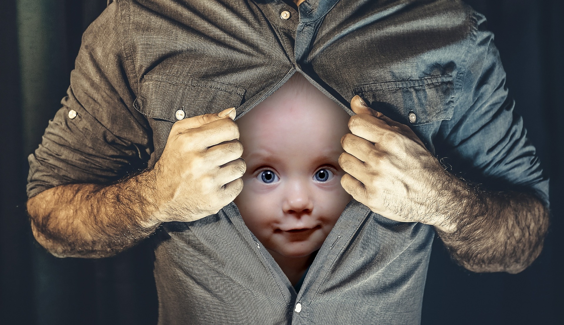 脳の中の聞くシステムと見るシステム:予測的符号化による情報処理