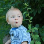 自閉症と統合失調症：驚きと予測的符号化の立場から