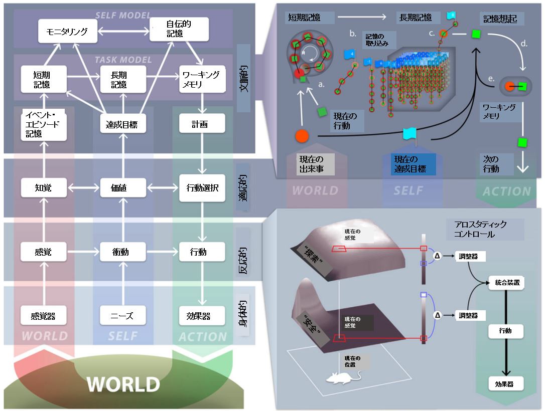 なぜあなたは失敗するのか?脳科学から見る長期記憶とやる気の罠
