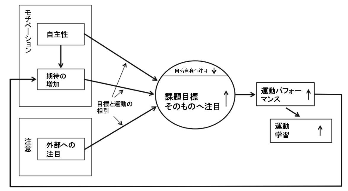 運動学習3.0 運動学習に対する心理学的・脳科学的アプローチ