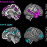 ナラティブ・ブレイン　なぜあなたの脳は物語を理解できるのか？