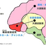 ナラティブ・エコノミー　感染症・物語・経済