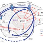 バーチャルリアリティを介した失調症状への介入：「mediVR神楽」の介入効果に関する考察②