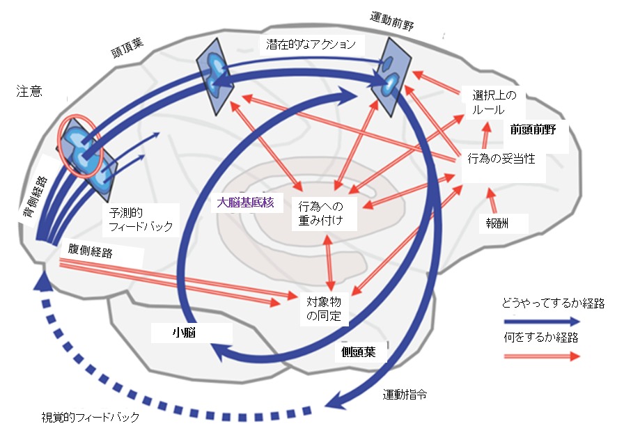 バーチャルリアリティを介した失調症状への介入：「mediVR神楽」の介入効果に関する考察②