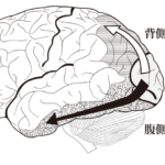 バーチャルリアリティを介した脳卒中上肢機能への介入：「mediVR神楽」の介入効果に関する考察④