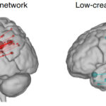創造性とは何か？脳科学と心理学からの考察
