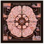 憎しみの脳科学：脳の中の憎悪回路とは？