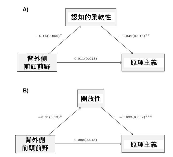 Zhong et al., 2017, Figure 3を参考に筆者作成