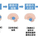 なぜあなたの脳は我慢出来ないのか？遅延報酬の脳科学