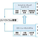 自閉症スペクトラム障害の脳科学：コミュニケーション能力と脳機能