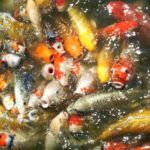 いじめの社会学：何がいじめを引き起こすのか？