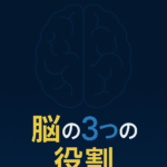 大脳・小脳・脳幹の役割とは？