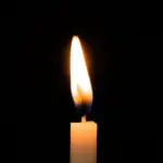 【命は脳のどこにあるのか？脳幹を哲学する】