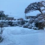 雪景色にあなたの脳はどう反応しているのか？頭頂葉のお話