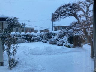 雪景色にあなたの脳はどう反応しているのか？頭頂葉のお話